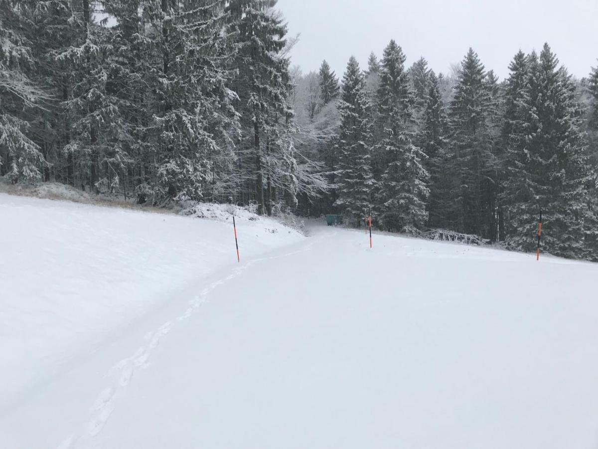 Ferienhaus Grobauer II Villa Schwarzenberg am Bohmerwald Dış mekan fotoğraf