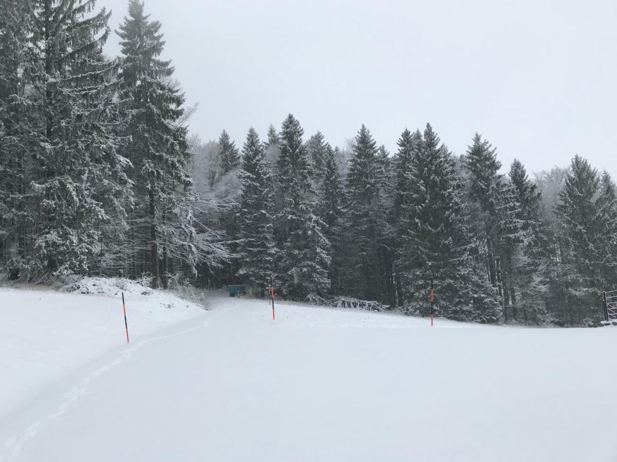 Ferienhaus Grobauer II Villa Schwarzenberg am Bohmerwald Dış mekan fotoğraf