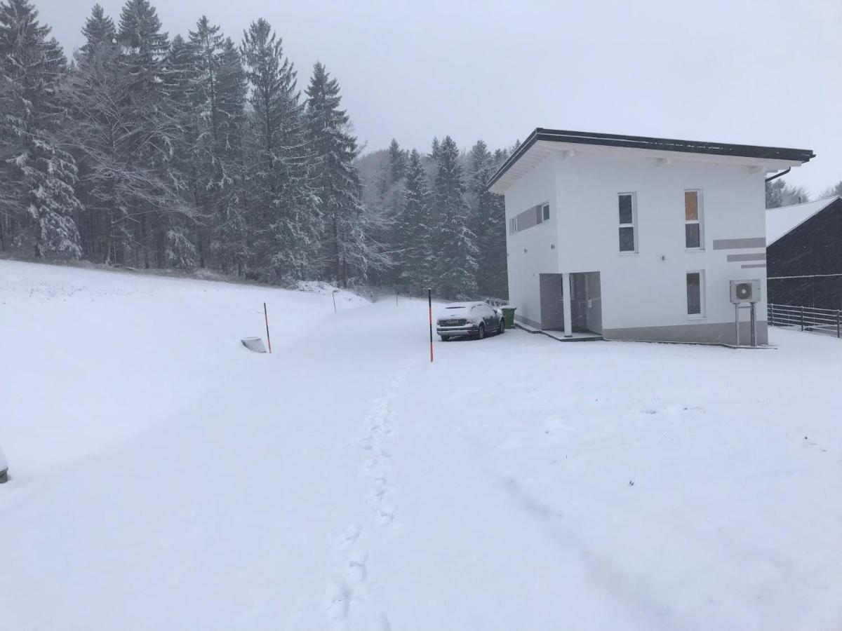 Ferienhaus Grobauer II Villa Schwarzenberg am Bohmerwald Dış mekan fotoğraf